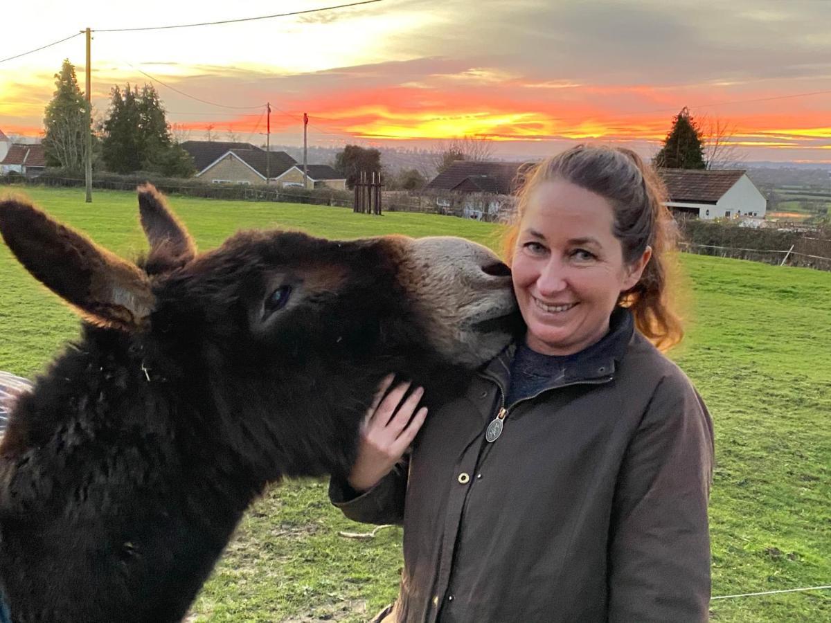 Rew Farm Country & Equestrian Accommodation - Sunrise Lodge Melksham Buitenkant foto