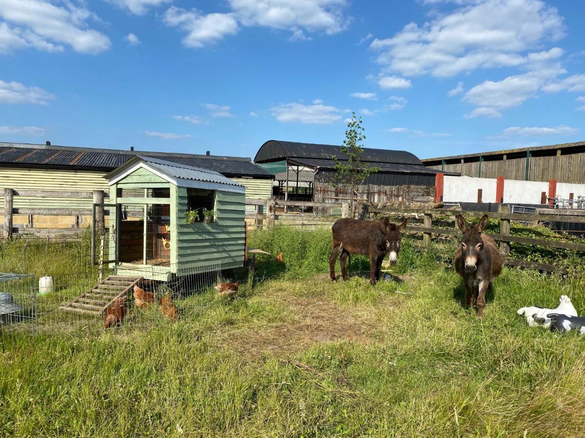 Rew Farm Country & Equestrian Accommodation - Sunrise Lodge Melksham Buitenkant foto