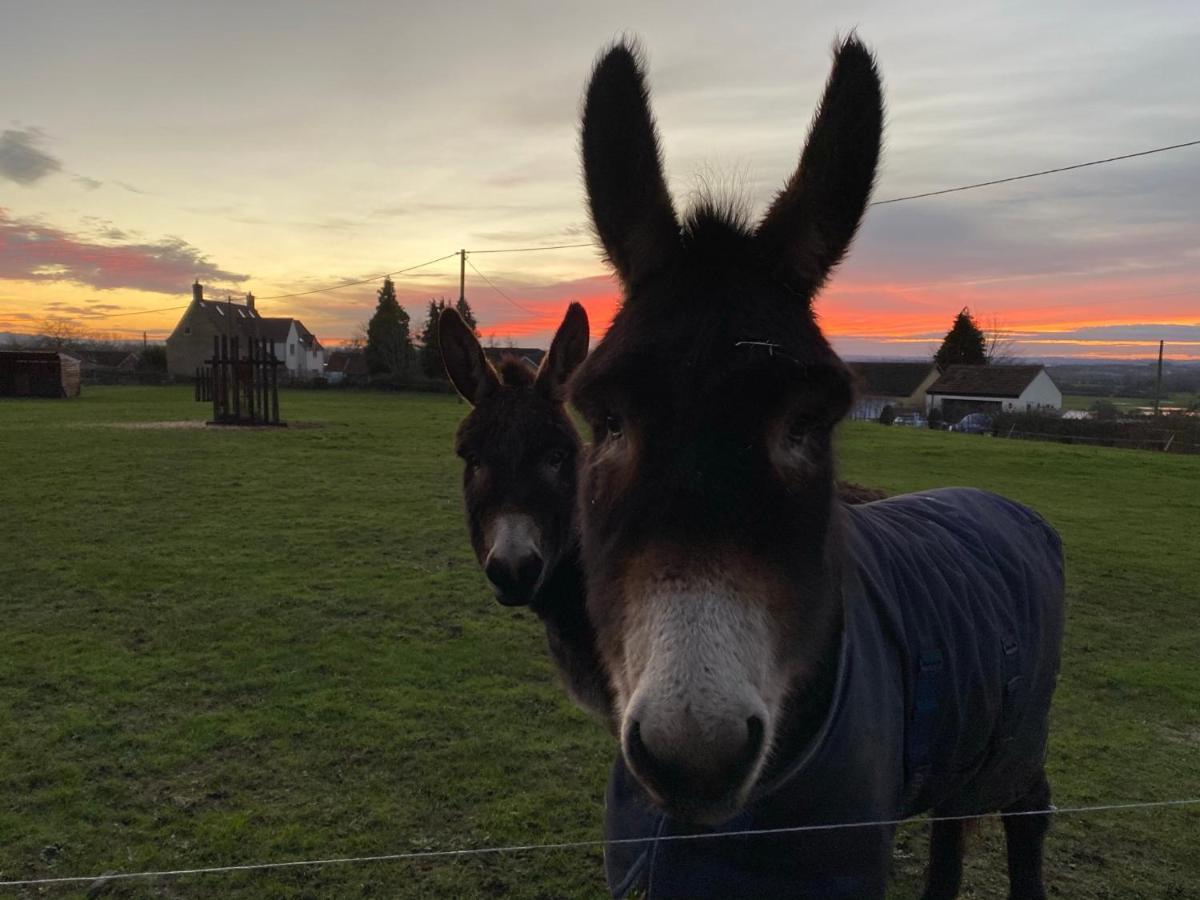 Rew Farm Country & Equestrian Accommodation - Sunrise Lodge Melksham Buitenkant foto