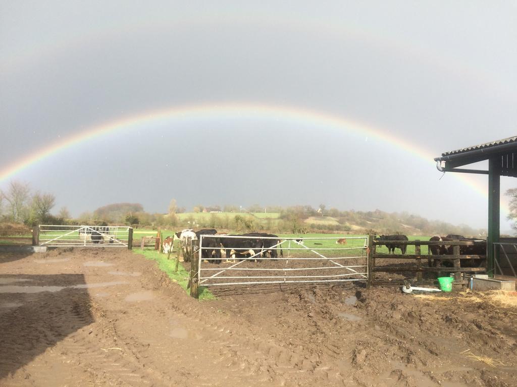 Rew Farm Country & Equestrian Accommodation - Sunrise Lodge Melksham Buitenkant foto