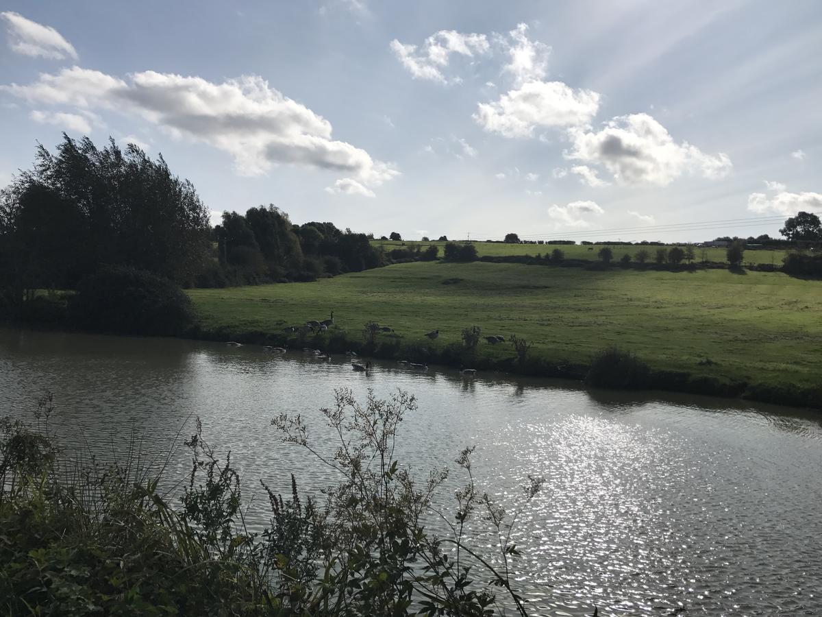 Rew Farm Country & Equestrian Accommodation - Sunrise Lodge Melksham Buitenkant foto